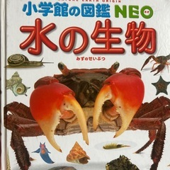 小学館の図鑑　5冊の画像