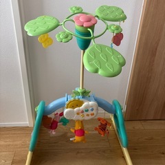 プーメリーの画像