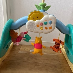 プーメリーの画像