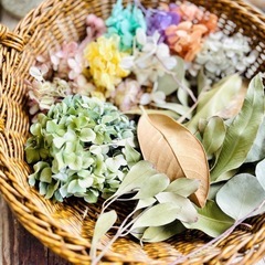紫陽花やリーフの画像