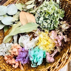紫陽花やリーフの画像