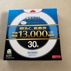 蛍光灯　未使用　の画像
