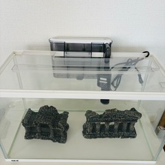 GEX 水槽　フィルター　の画像