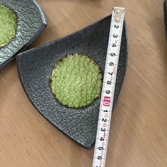 未使用・遊器ギャラリー・お皿5点セットの画像