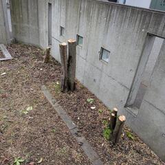 木材、剪定枝、薪の画像