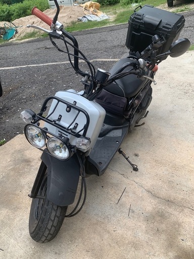 ズーマー50  美車　期間限定価格21日まで早い物勝ち