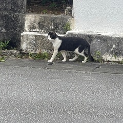 各所に不動産御座います