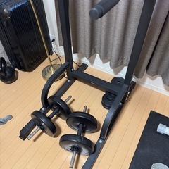 懸垂マシンの画像