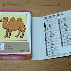 ひらがなカードの画像