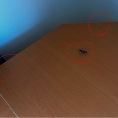 パソコンデスク、ゲーミングチェアの画像