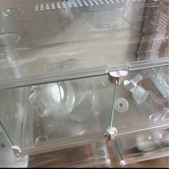 気持ちお値下げ交渉OK⭐️ハムスター　ケース　ペット　2つまとめてお願いします！の画像