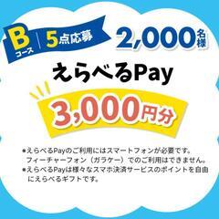夏のヤマザキフェスティバル２０２５◆応募用 点数券 シール ５点(２点×２枚、１点×１枚)◆ヤマザキ 山崎製パン の画像