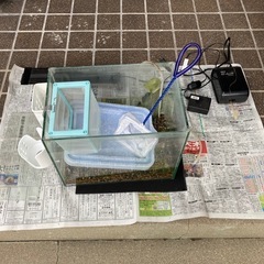 アクアリウムセット一式色々