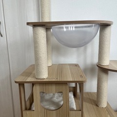 キャットタワーの画像