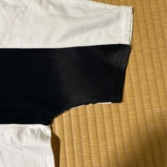 ミッキーマウス　シャツ２枚の画像