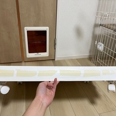 猫ゲージ　　の画像
