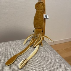 ⭐︎NEW イカのぬいぐるみ⭐︎の画像