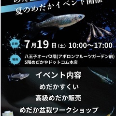 🐟メダカが好きな方、メダカを買おうと思っている方へのお知らせ📢