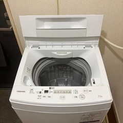 東芝2019年式洗濯機の画像