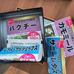 プランター２つの画像