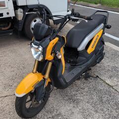 ホンダ　ZOOMER‐X　ズーマーX 110　イエローの画像
