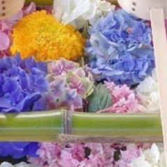 大阪50代～オフ会仲間募集🥳
