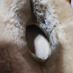 ムートンブーツ　LLの画像