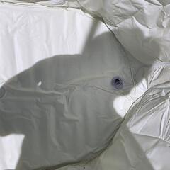 お風呂の画像