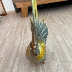 鉄鋼の鶏の画像
