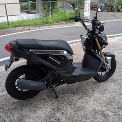 ホンダ　ZOOMER‐X　ズーマーX 110　ブラックの画像