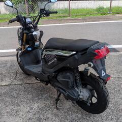 ホンダ　ZOOMER‐X　ズーマーX 110　ブラックの画像