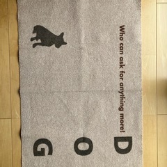 子犬お迎えセットの画像