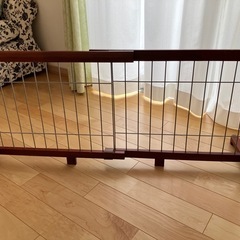 子犬お迎えセットの画像