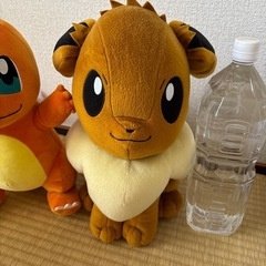 ポケモンぬいぐるみ4体の画像