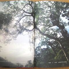 ツリーハウスを作る際の参考資料として・・・TREEDOM (ツリーダム) The road to freedom DVD＋BOOK単行本 ハードカバー2007初版 小林 崇の画像