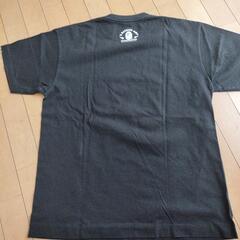 A Bathing Ape 
パンダパーカーマイロTシャツ
の画像