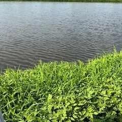 今日空いてる方