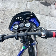 子供用自転車ブリジストンEX46の画像