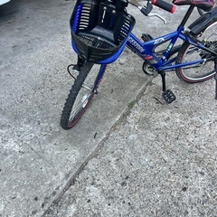 子供用自転車ブリジストンEX46の画像