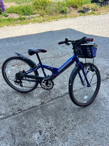 子供用自転車ブリジストンEX46
