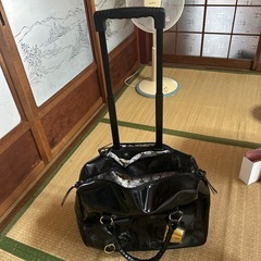【値下げ】リズリサドール　ボストン.キャリー2wayの画像