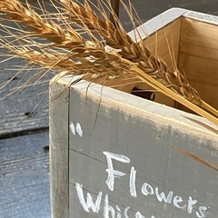 📦ツールボックス🌱④