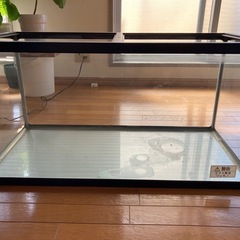 ガラス水槽
の画像