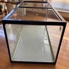 ガラス水槽
の画像