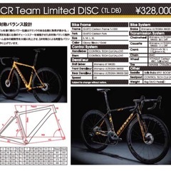 GUSTO RCR Team Limited DISK グストロードバイク Mの画像