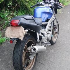 VT250スパーダ　MC20　(No.2431)の画像