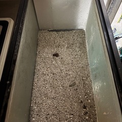 水槽 2個 蛍光灯 ろ過槽 砂 マットなど　の画像