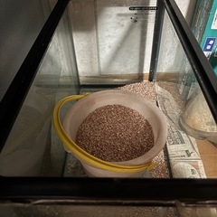 水槽 2個 蛍光灯 ろ過槽 砂 マットなど　の画像
