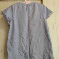 ALGY 130cm Tシャツの画像