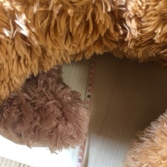 ディズニーの画像